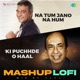 Na Tum Jano Na Hum X Ki Puchhde O Haal Lofi Mashup Single