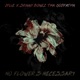 No Flowers Necessary EP