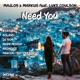 Need You Remixes feat Luke Coulson EP