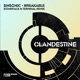 Breakable Stoneface Terminal remix Single