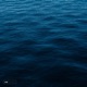 Navy Blue Single