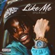 LIKE ME feat Zedzz Single