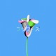Laniakea EP