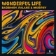 Wonderful Life Single