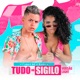 Tudo no Sigilo Versão Light Single