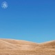 Daylight Single