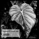 Talavera Records 04 EP