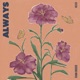 Always feat Neidi Single