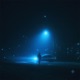 lonely nights Single