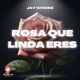 Rosa Que Linda Eres TECH HOUSE Single