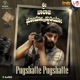 Pugshatte Pugshatte From Shri Balaji Photo Studio Single
