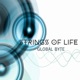 Strings of Life Speed of Life Club Mix Single