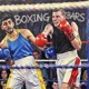 BOXING BARS Single