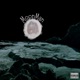 Moonman Single