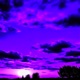Volition Single