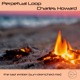 The Last Ember Sun drenched Mix Single