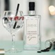 Gib deinem Leben einen Gin Single