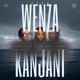 Wenza Kanjani feat Gator Groover ShakaMan YKTV Muziqal Tone Single