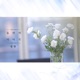둘만의 이야기 Single