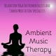 Ambient Music Therapy Relaxation Yoga Instrumentalists and Chakra Meditation Specialists