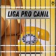 Liga pro canil Single