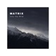 Into the Wild Single