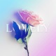 Lovely Single