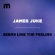 Seems Like the Feeling Single