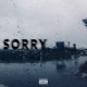 Sorry Single