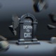 Born to Die Single