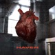 Haven Single