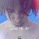 Wake Me Up