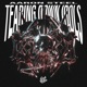 Tearing Down Idols Single