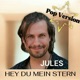 Hey Du mein Stern Pop Version Single