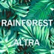 Rainforest Single