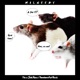 This is Junk House Downtown Rat Hussle Single