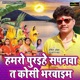 Hamro Puraihe Sapanva Ta Koshi Bhravaim Single