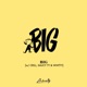 Big Single