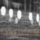 Synergism feat Adam Holzman Alex Skolnick Single