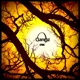 Spook Radio Edit Single