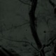 Flaws feat Tsvr Single