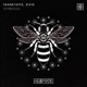 Symbiosis Extended Mix Single