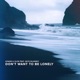 Don t Want To Be Lonely feat Skye Silansky Single