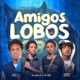 Amigos Lobos feat Mano Chaba Decente Bastião Single