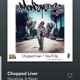 Chopped Liver Chopped Single