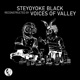 Steyoyoke Black Reconstructed by Voices of Valley Single