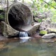 Downthedrain EP