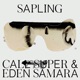 Sapling Single