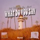 What Do You Say Single
