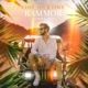 Lost Your Love Extended Mix Single